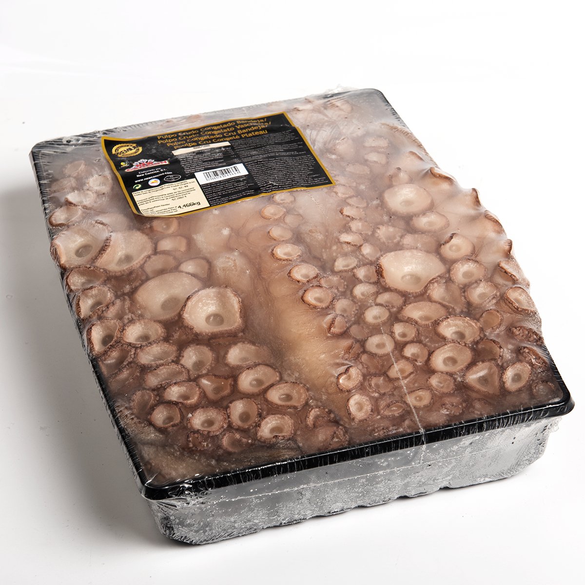 POLVO 4/5KG NEW CONCISA