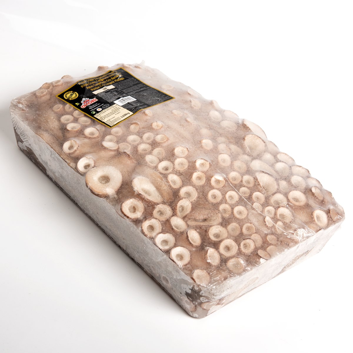 POLVO +6KG NEW CONCISA