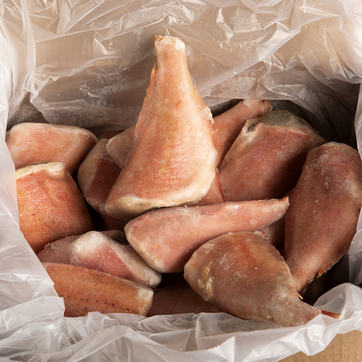 RED FISH M 200/300 AV.